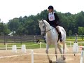 Novice dressage test at pony club eventing ralley Novice dressage test at pony club eventing ralley