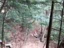 zipline