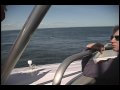 Whale watching in Bar Harbor Maine