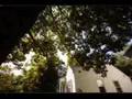 Organik 'Sunrise' - Shadowland Timelapse