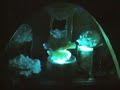 Mouvement et lumière