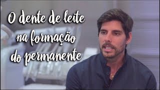 Fica a Dica - O dente de leite na formação do permanente