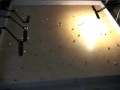 Guarda video