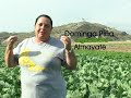 ciudadanos cambio mini spot 1 agricultora ciudadanos cambio mini spot 1 agricultora