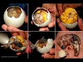Filipino Slideshow