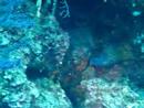 Italy Video