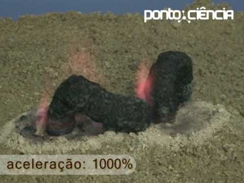 Imagem de Amostra do You Tube