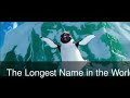ramon – My Name Is Ramon