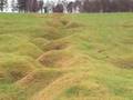 Beaumont Hamel.
