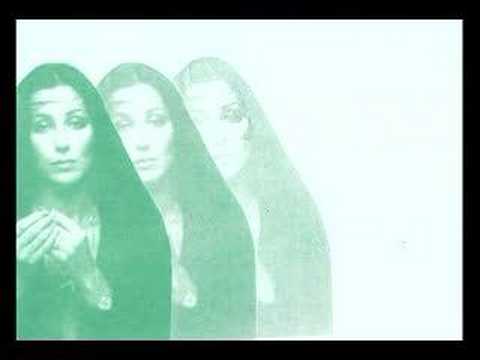 Cher Silver Wings and Golden Rings