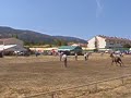 Feria del Caballo de Piedrahita 2006