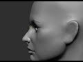 2 Hour Female Head 2 Hour Female Head