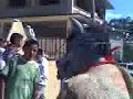EL BURRO.3gp