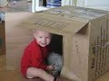 Alex playing in a box