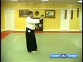 Aikido Moves for Beginners : Aikido Head Strike Technique