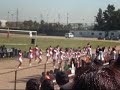 H.P. Cheer \