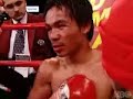 THE NEW POUND4POUND KING!! THE NEW POUND4POUND KING!!