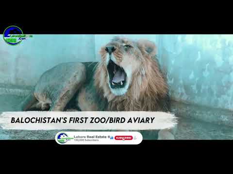 DHA Quetta Latest Update: Files, Plot Prices & Market Trends | Investment Guide