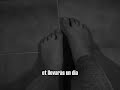 Com anar al cel i tornar - Els Pets