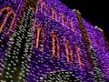 dancing-lights-Holly