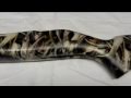 New Bonz Camo Gun Stock Water Transfer Printing