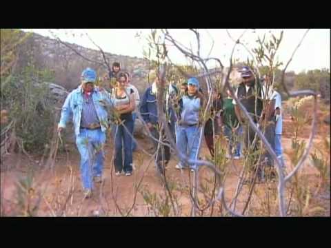 Ver Video