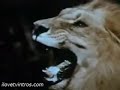 Tarzan Intro 60