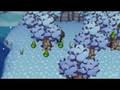 Winter Fruit Picking in Animal Crossing: City Folk