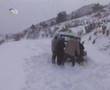 Åžerif YataÄŸan CJ5 Ralli 2