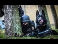 K 9 Commando