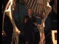 MNOZIL BRASS goes prehistorical
