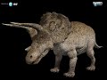 dinosaurs-