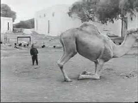 Imagen de previsualización de YouTube