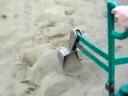 videos de jumping jack