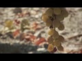 Conoce la D.O. Montilla-Moriles