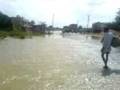 videos de A BOY CATCHING A SMALL SNAKE IN MANALI NEW TOWN RAIN WATER, CHENNAI