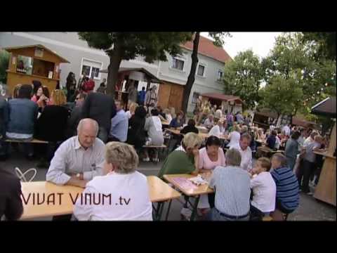 Rotweinfestival Deutschkreutz - Weinort Traiskirchen mit Ankündigung des Weinfestes vom 30. Juni bis 14. Juli - Rotweinfestival in Deutschkreutz vom 8. -11. Juli - Kurzbesuch auf der Vie ...