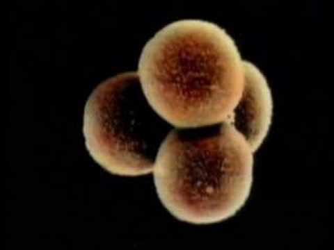 Image de prévisualisation YouTube