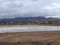 Snow Geese arriving at Bosque del Apache - Part I