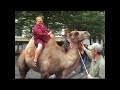 Campagne \"Stop Islamisering van Gent!\"