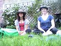 Science Project- Temperate Deciduous Forest pt.2