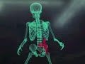 Jim Corr on Newstalk Radio (body scanners)