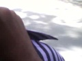 Vid0008