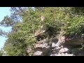Meramec Canoe Trip 2007