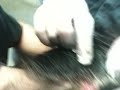 Zorriloo's  part ll
