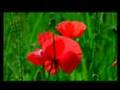 flora´s secret ENYA