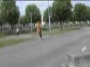 Konijnen Terror