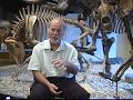 Bothwell-Mastodont-D
