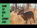 How to use the Deer Grunt call