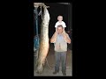 World Record Alligator Gar - Top 10 Monster Aligator Gar